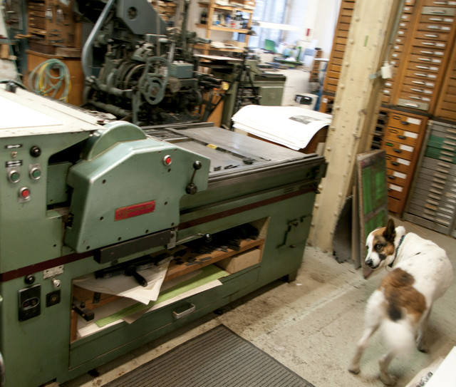 fag839 and member of staff